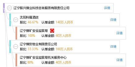 信息技術咨詢服務 遼寧振興煤業科技咨詢服務有限責任公司的專業優勢
